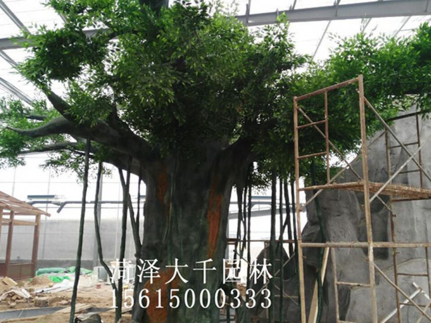 點(diǎn)擊查看詳細(xì)信息<br>標(biāo)題：假樹 閱讀次數(shù)：1524