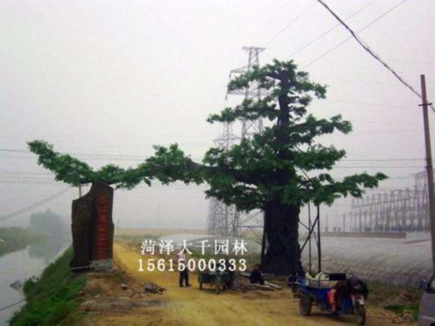 點(diǎn)擊查看詳細(xì)信息<br>標(biāo)題：假樹 閱讀次數(shù)：1434