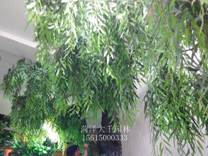 點(diǎn)擊查看詳細(xì)信息<br>標(biāo)題：假樹 閱讀次數(shù)：1450