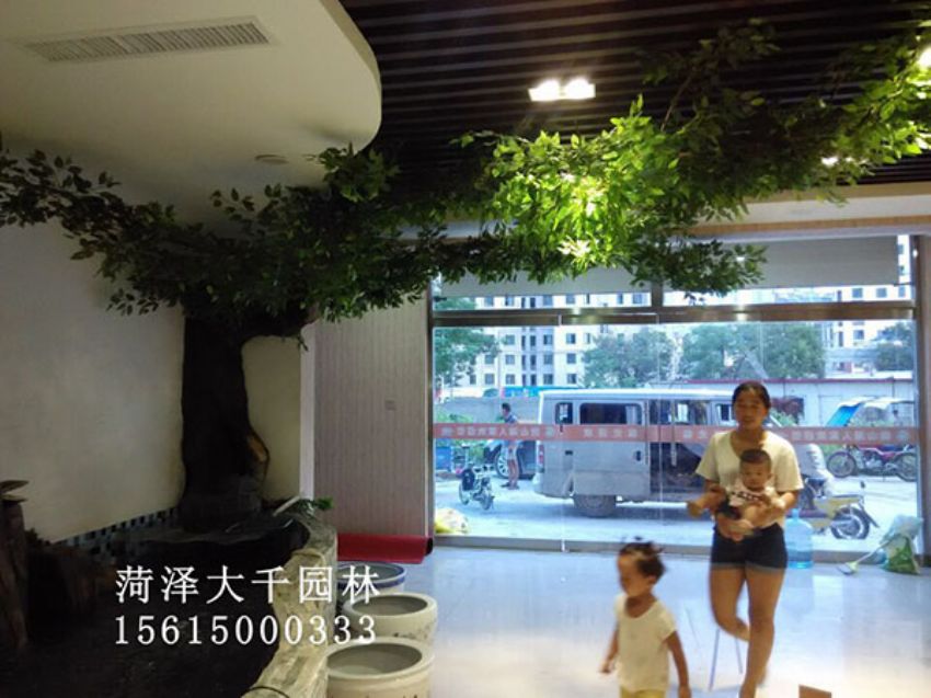 點(diǎn)擊查看詳細(xì)信息<br>標(biāo)題：假樹 閱讀次數(shù)：1477