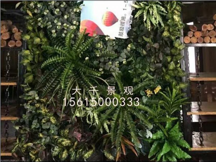 點擊查看詳細信息<br>標題：綠植墻 閱讀次數(shù)：1493
