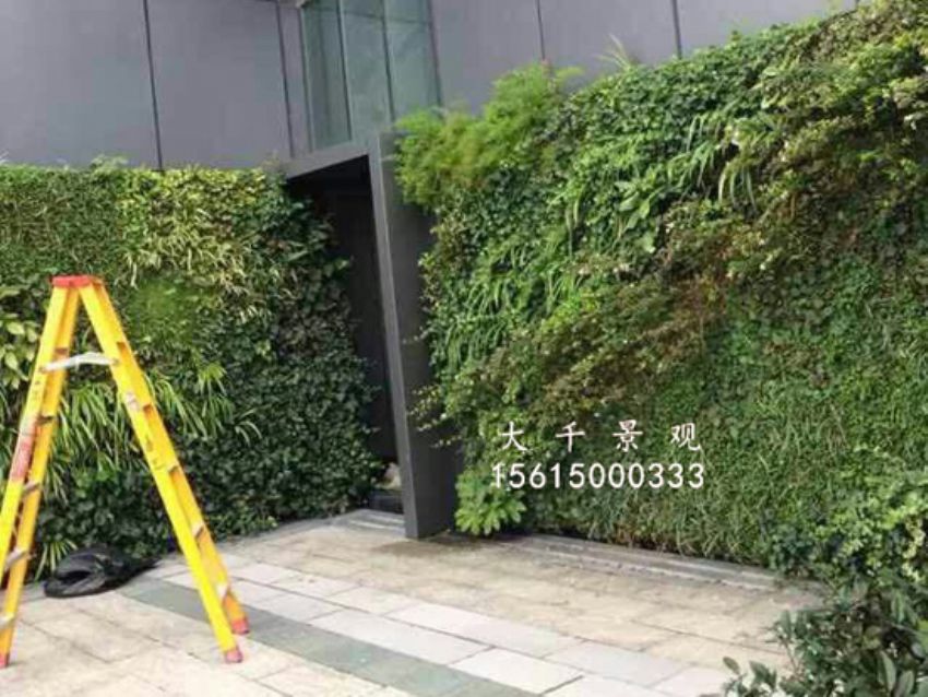 點擊查看詳細信息<br>標題：綠植墻 閱讀次數(shù)：1611