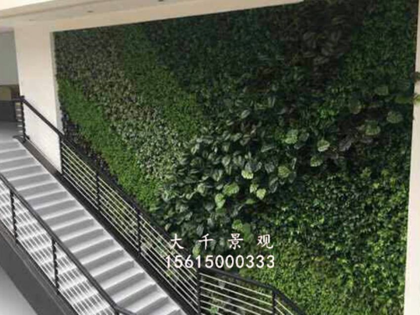 點擊查看詳細信息<br>標題：綠植墻 閱讀次數(shù)：1767