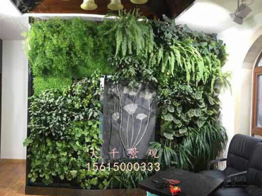 點擊查看詳細信息<br>標題：綠植墻 閱讀次數(shù)：1840