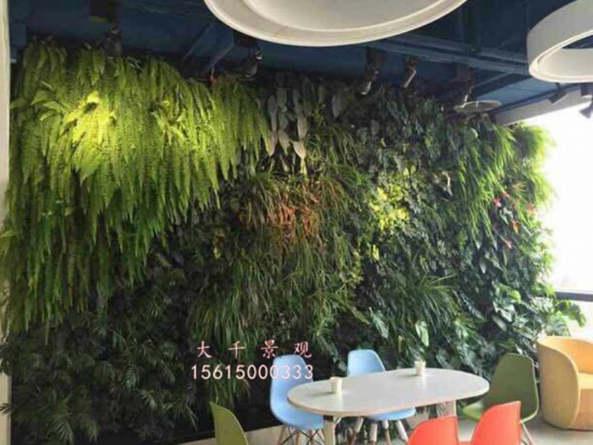 點(diǎn)擊查看詳細(xì)信息<br>標(biāo)題：綠植墻 閱讀次數(shù)：2041