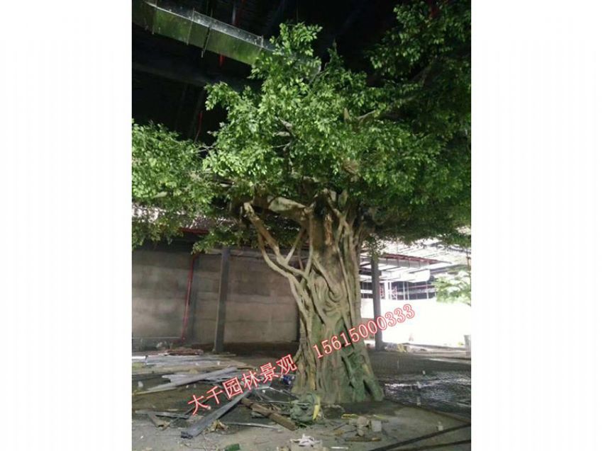 點(diǎn)擊查看詳細(xì)信息<br>標(biāo)題：假樹(shù) 閱讀次數(shù)：2478